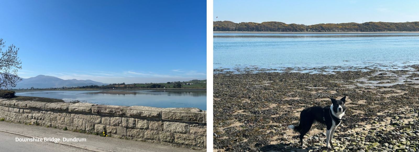 Downshire Bridge, Dundrum